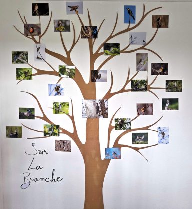 L'arbre à oiseaux