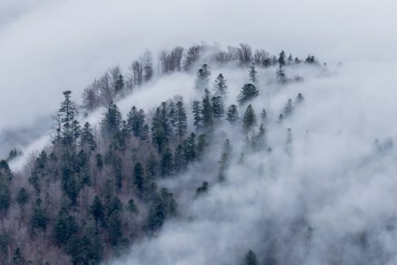 Brume sur les Vosges