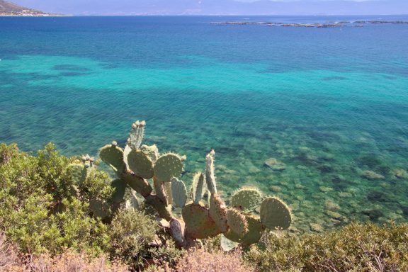 La Corse et les Iles Sanguinaires 1