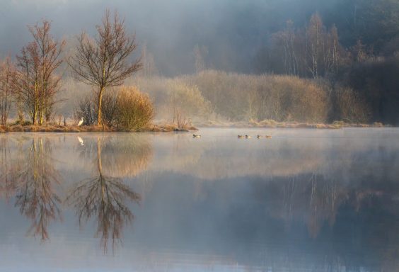Malsaucy...l'automne